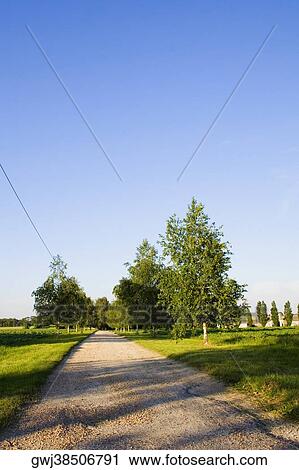 Dirt road passing through a field, Loire Valley, France View Large Photo Image Stock Image - Dirt road passing through a field, Loire Valley, France. Fotosearch