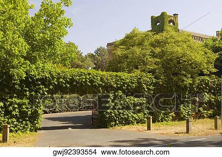 Entrance of a garden, Aquitaine, France View Large Photo Image Picture - Entrance of a garden, Aquitaine, France. Fotosearch