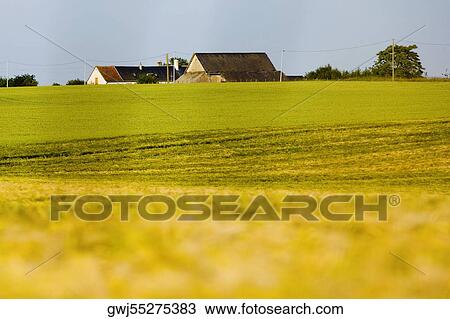 Farmhouses in a field, Loire Valley, France View Large Photo Image Stock Image - Farmhouses in a field, Loire Valley, France. Fotosearch