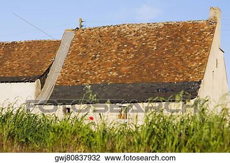 Farmhouses in a field, Loire Valley, France View Large Photo Image Stock Image - Farmhouses in a field, Loire Valley, France. Fotosearch