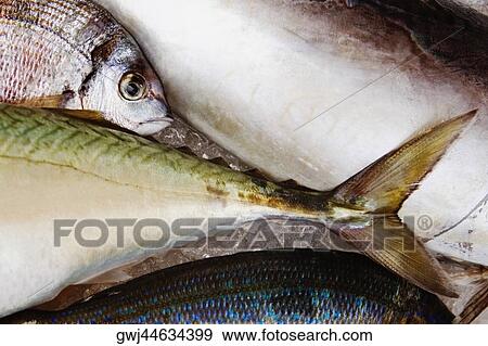 Stock Photo - Fish for sale at a market stall, Sorrento, Sorrentine Peninsula, Naples Province, Campania, Italy. Fotosearch