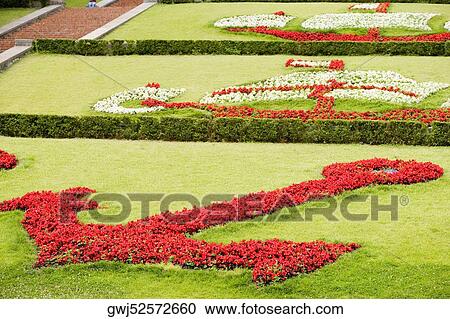 Flowers in a garden, Scalinata Delle Caravelle, Genoa, Liguria, Italy View Large Photo Image Stock Image - Flowers in a garden, Scalinata Delle Caravelle, Genoa, Liguria, Italy. Fotosearch