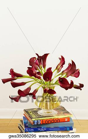 Flowers in a vase on a stack of books in a living room View Large Photo Image Stock Photography - Flowers in a vase on a stack of books in a living room. Fotosearch