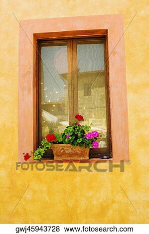 Flowers in a window box on a window sill, Monteriggioni, Siena Province, Tuscany, Italy View Large Photo Image Stock Photo - Flowers in a window box on a window sill, Monteriggioni, Siena Province, Tuscany, Italy. Fotosearch