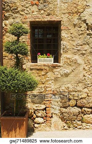 Flowers in a window box on a window sill, Monteriggioni, Siena Province, Tuscany, Italy View Large Photo Image Stock Photography - Flowers in a window box on a window sill, Monteriggioni, Siena Province, Tuscany, Italy. Fotosearch