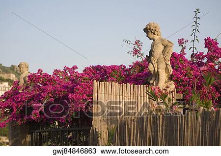 Flowers near two statues, Salerno, Campania, Italy View Large Photo Image Stock Image - Flowers near two statues, Salerno, Campania, Italy. Fotosearch