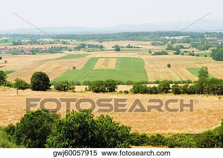 High angle view of a field, Siena Province, Tuscany, Italy View Large Photo Image Stock Photography - High angle view of a field, Siena Province, Tuscany, Italy. Fotosearch