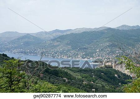 High angle view of a town, Italian Riviera, Genoa Province, Liguria, Italy View Large Photo Image Picture - High angle view of a town, Italian Riviera, Genoa Province, Liguria, Italy. Fotosearch