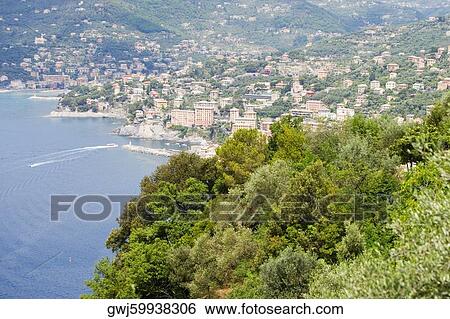 High angle view of a village, Camogli, Italian Riviera, Genoa Province, Liguria, Italy View Large Photo Image Stock Photograph - High angle view of a village, Camogli, Italian Riviera, Genoa Province, Liguria, Italy. Fotosearch
