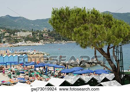 High angle view of beach umbrellas on the beach, Italian Riviera, Santa Margherita Ligure, Genoa, Liguria, Italy View Large Photo Image Picture - High angle view of beach umbrellas on the beach, Italian Riviera, Santa Margherita Ligure, Genoa, Liguria, Italy. Fotosearch