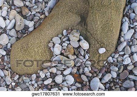 High angle view of pebbles View Large Photo Image Stock Image - High angle view of pebbles. Fotosearch