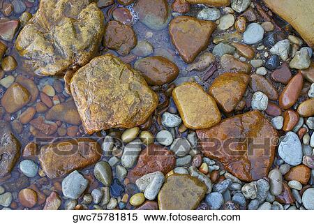 High angle view of pebbles View Large Photo Image Stock Photography - High angle view of pebbles. Fotosearch