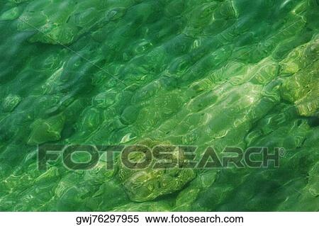 High angle view of rocks underwater, Bay of Naples, Sorrento, Sorrentine Peninsula, Naples Province, Campania, Italy View Large Photo Image Stock Photography - High angle view of rocks underwater, Bay of Naples, Sorrento, Sorrentine Peninsula, Naples Province, Campania, Italy. Fotosearch