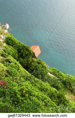 High angle view of trees at the hillside, Costiera Amalfitana, Salerno, Campania, Italy View Large Photo Image Stock Image - High angle view of trees at the hillside, Costiera Amalfitana, Salerno, Campania, Italy. Fotosearch