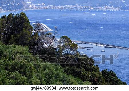 High angle view of trees on a hill, Italian Riviera, Mar Ligure, Genoa, Liguria, Italy View Large Photo Image Picture - High angle view of trees on a hill, Italian Riviera, Mar Ligure, Genoa, Liguria, Italy. Fotosearch