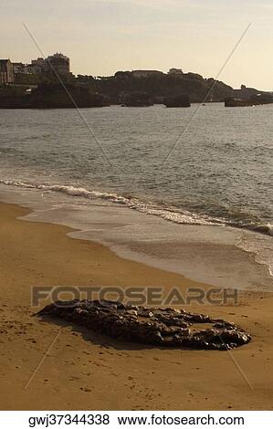 High angle view of waves on the beach, Biarritz, Basque Country, Pyrenees-Atlantiques, Aquitaine, France View Large Photo Image Stock Photo - High angle view of waves on the beach, Biarritz, Basque Country, Pyrenees-Atlantiques, Aquitaine, France. Fotosearch