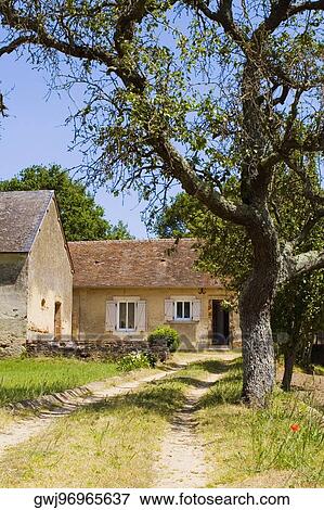 Houses in a field, Loire Valley, France View Large Photo Image Stock Photo - Houses in a field, Loire Valley, France. Fotosearch