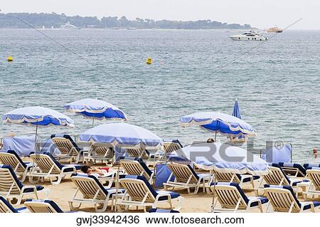Lounge chairs and beach umbrellas on the beach, Plage De La Croisette, Cote d'Azur, Cannes, Provence-Alpes-Cote D'Azur, France View Large Photo Image Stock Photograph - Lounge chairs and beach umbrellas on the beach, Plage De La Croisette, Cote d'Azur, Cannes, Provence-Alpes-Cote D'Azur, France. Fotosearch