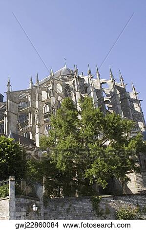 Picture - Low angle view of a cathedral, Le Mans Cathedral, Le Mans, France. Fotosearch