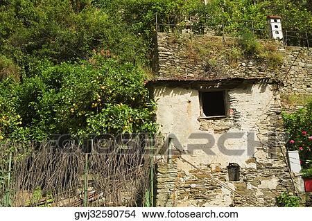 Low angle view of a house, Vernazza, La Spezia, Liguria, Italy View Large Photo Image Picture - Low angle view of a house, Vernazza, La Spezia, Liguria, Italy. Fotosearch
