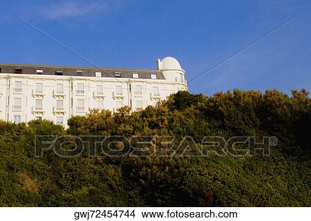 Low angle view of trees in front of a building, Biarritz, Basque Country, Pyrenees-Atlantiques, Aquitaine, France View Large Photo Image Picture - Low angle view of trees in front of a building, Biarritz, Basque Country, Pyrenees-Atlantiques, Aquitaine, France. Fotosearch