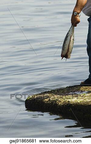 Low section view of a person holding a fish, Marina Grande, Capri, Sorrento, Naples Province, Campania, Italy View Large Photo Image Stock Image - Low section view of a person holding a fish, Marina Grande, Capri, Sorrento, Naples Province, Campania, Italy. Fotosearch