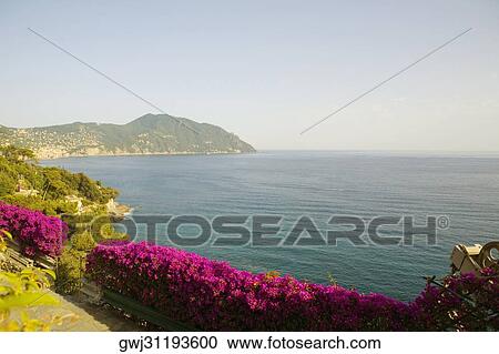 Panoramic view of the sea, Italian Riviera, Mar Ligure, Genoa, Liguria, Italy View Large Photo Image Stock Image - Panoramic view of the sea, Italian Riviera, Mar Ligure, Genoa, Liguria, Italy. Fotosearch