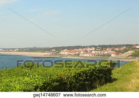 Stock Photo - Plants at the seaside, St. Martin, Biarritz, France. Fotosearch
