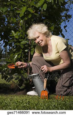Portrait of a senior woman gardening View Large Photo Image Stock Image - Portrait of a senior woman gardening. Fotosearch