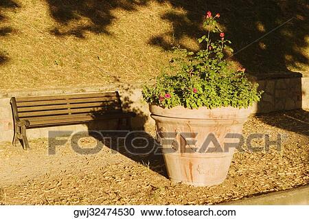 Potted plant in a park, San Gimignano, Siena Province, Tuscany, Italy View Large Photo Image Stock Image - Potted plant in a park, San Gimignano, Siena Province, Tuscany, Italy. Fotosearch