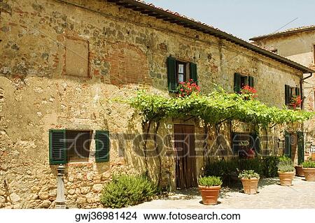 Potted plants in front of a building, Piazza Roma, Monteriggioni, Siena Province, Tuscany, Italy View Large Photo Image Picture - Potted plants in front of a building, Piazza Roma, Monteriggioni, Siena Province, Tuscany, Italy. Fotosearch
