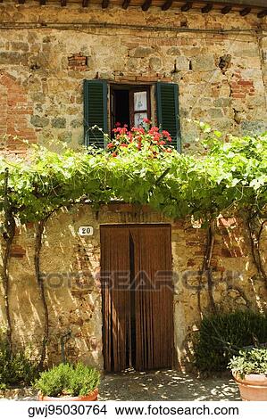 Potted plants in front of a building, Piazza Roma, Monteriggioni, Siena Province, Tuscany, Italy View Large Photo Image Picture - Potted plants in front of a building, Piazza Roma, Monteriggioni, Siena Province, Tuscany, Italy. Fotosearch