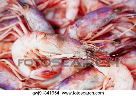 Prawns for sale at a market stall, Sorrento, Sorrentine Peninsula, Naples Province, Campania, Italy View Large Photo Image Picture - Prawns for sale at a market stall, Sorrento, Sorrentine Peninsula, Naples Province, Campania, Italy. Fotosearch