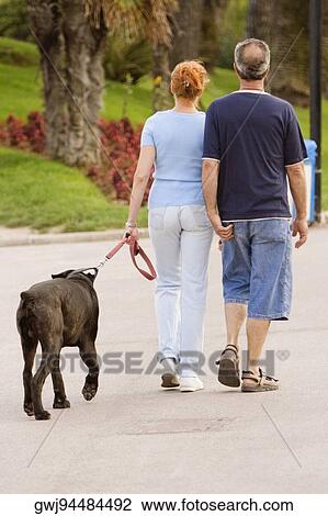 Rear view of a couple walking with their pet, Promenade Des Anglais, Nice, Provence-Alpes-Cote D'Azur, France View Large Photo Image Stock Image - Rear view of a couple walking with their pet, Promenade Des Anglais, Nice, Provence-Alpes-Cote D'Azur, France. Fotosearch