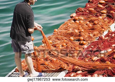 Rear view of a fisherman holding a commercial fishing net, Marina Grande, Capri, Sorrento, Sorrentine Peninsula, Naples Province, Campania, Italy View Large Photo Image Stock Image - Rear view of a fisherman holding a commercial fishing net, Marina Grande, Capri, Sorrento, Sorrentine Peninsula, Naples Province, Campania, Italy. Fotosearch