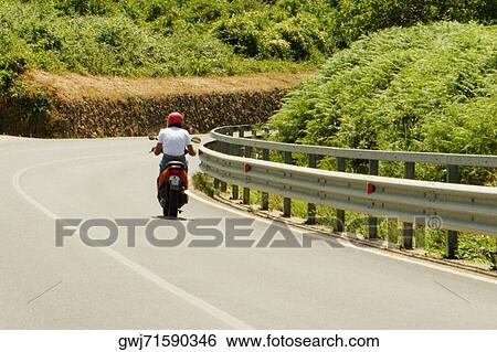 Rear view of a man riding a motor scooter, Siena Province, Tuscany, Italy View Large Photo Image Stock Photograph - Rear view of a man riding a motor scooter, Siena Province, Tuscany, Italy. Fotosearch