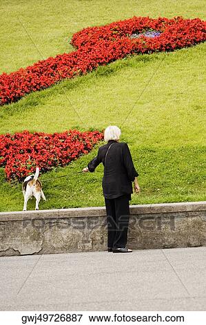 Rear view of a woman with her dog in a garden, Scalinata Delle Caravelle, Genoa, Liguria, Italy View Large Photo Image Stock Photo - Rear view of a woman with her dog in a garden, Scalinata Delle Caravelle, Genoa, Liguria, Italy. Fotosearch