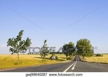 Road passing through a field, Loire Valley, France View Large Photo Image Stock Photo - Road passing through a field, Loire Valley, France. Fotosearch