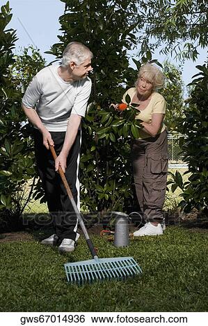 Senior man raking in a garden with a senior woman standing behind him View Large Photo Image Stock Photograph - Senior man raking in a garden with a senior woman standing behind him. Fotosearch