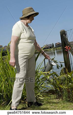 Senior woman watering plants in a garden View Large Photo Image Picture - Senior woman watering plants in a garden. Fotosearch