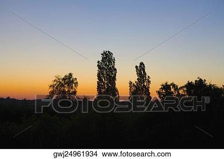 Silhouette of trees at sunset, Loire Valley, France View Large Photo Image Picture - Silhouette of trees at sunset, Loire Valley, France. Fotosearch