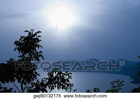 Silhouette of trees at the seaside, Italian Riviera, Cinque Terre National Park, Mar Ligure, Cinque Terre, La Spezia, Liguria, Italy View Large Photo Image Stock Photography - Silhouette of trees at the seaside, Italian Riviera, Cinque Terre National Park, Mar Ligure, Cinque Terre, La Spezia, Liguria, Italy. Fotosearch