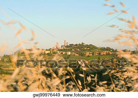 Town on a hill, San Gimignano, Siena Province, Tuscany, Italy View Large Photo Image Stock Photo - Town on a hill, San Gimignano, Siena Province, Tuscany, Italy. Fotosearch