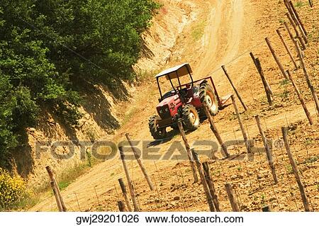 Tractor in a vineyard, Siena Province, Tuscany, Italy View Large Photo Image Stock Photograph - Tractor in a vineyard, Siena Province, Tuscany, Italy. Fotosearch