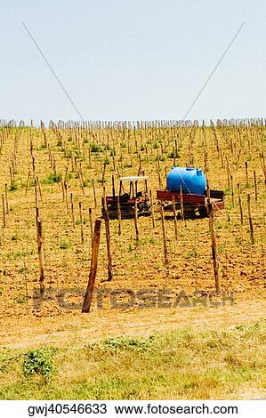Tractor with tanker in a vineyard, Siena Province, Tuscany, Italy View Large Photo Image Stock Image - Tractor with tanker in a vineyard, Siena Province, Tuscany, Italy. Fotosearch