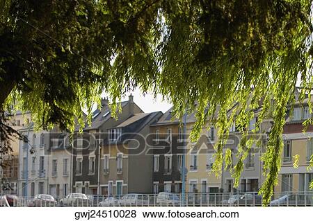 Tree with buildings in the background, Le Mans, Sarthe, Pays-de-la-Loire, France View Large Photo Image Stock Photo - Tree with buildings in the background, Le Mans, Sarthe, Pays-de-la-Loire, France. Fotosearch