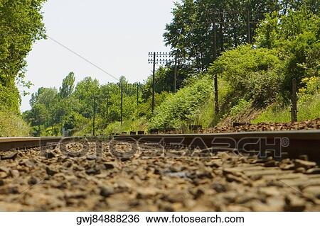 Trees along a railroad track, Loire Valley, France View Large Photo Image Stock Photograph - Trees along a railroad track, Loire Valley, France. Fotosearch