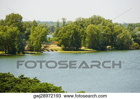 Trees at a lakeside, Bordeaux Lake, Bordeaux, Aquitaine, France View Large Photo Image Stock Image - Trees at a lakeside, Bordeaux Lake, Bordeaux, Aquitaine, France. Fotosearch