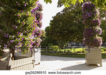 Trees in a garden, Bordeaux, Aquitaine, France View Large Photo Image Stock Image - Trees in a garden, Bordeaux, Aquitaine, France. Fotosearch
