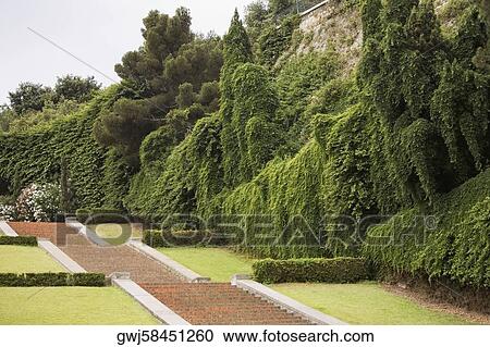 Trees in a garden, Scalinata Delle Caravelle, Genoa, Liguria, Italy View Large Photo Image Stock Image - Trees in a garden, Scalinata Delle Caravelle, Genoa, Liguria, Italy. Fotosearch